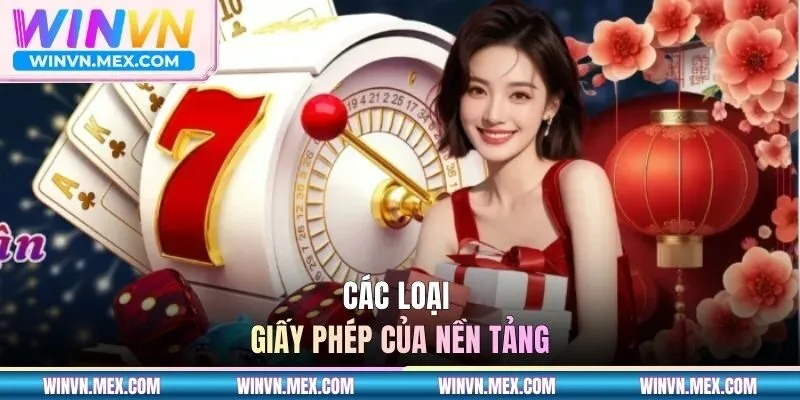 Các loại giấy phép của nền tảng