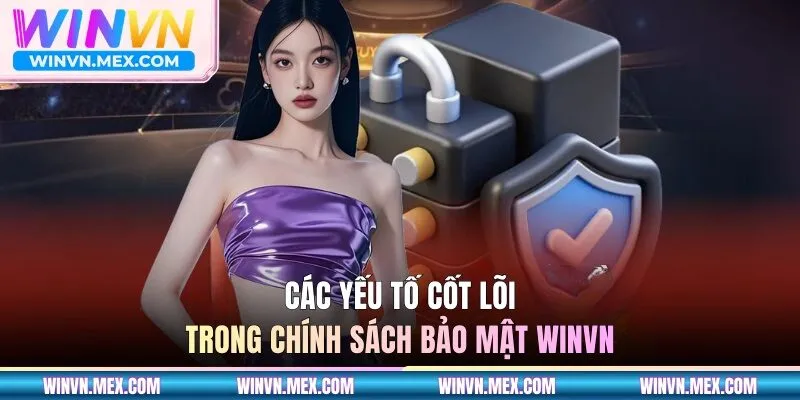 Các yếu tố cốt lõi trong chính sách bảo mật WINVN