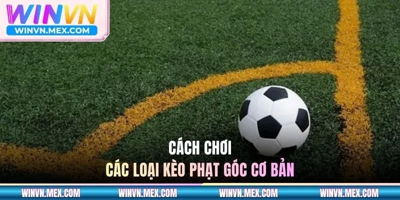 Cách chơi các loại kèo phạt góc cơ bản