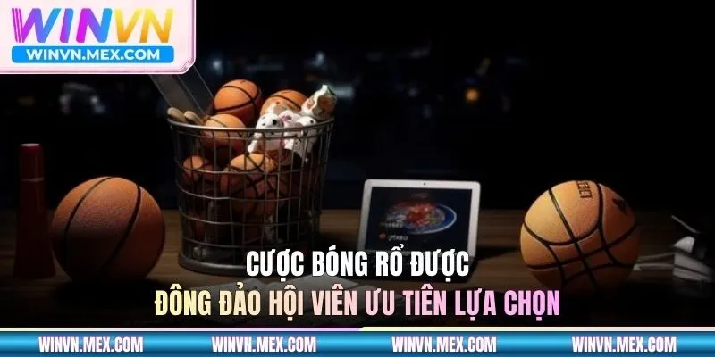 Cược bóng rổ được đông đảo hội viên ưu tiên lựa chọn