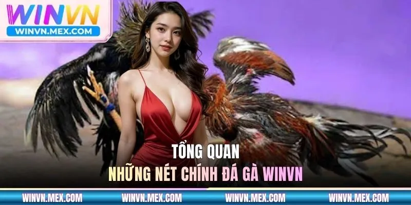 Chi tiết những nội dung chính về sảnh Đá Gà WINVN