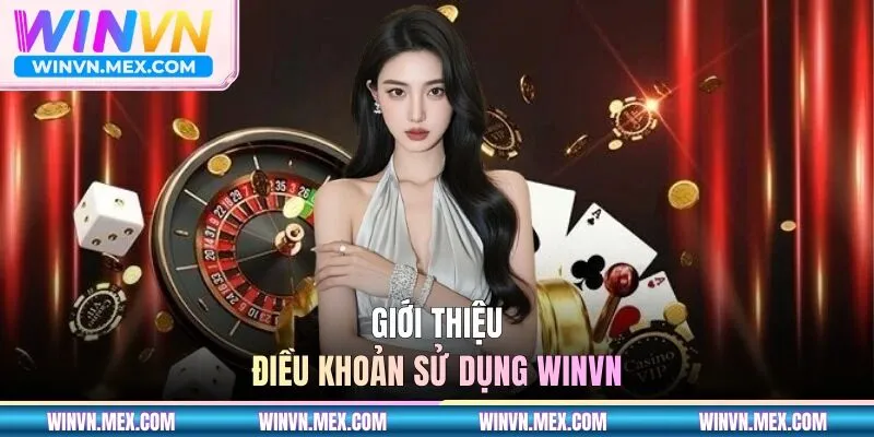 Giới thiệu điều khoản sử dụng WINVN