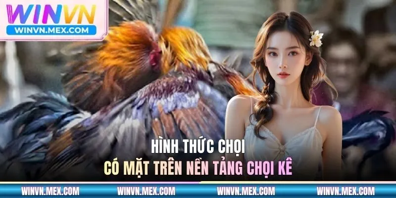 Hình thức chọi kê nổi tiếng được ưa chuộng nhất hiện nay