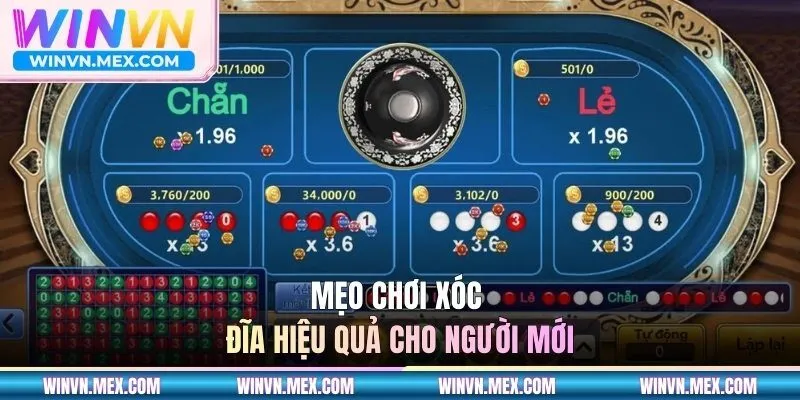 Mẹo chơi xóc đĩa hiệu quả cho tân binh