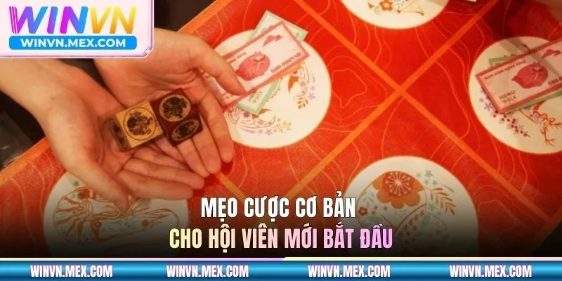 Mẹo cược cơ bản cho hội viên mới bắt đầu
