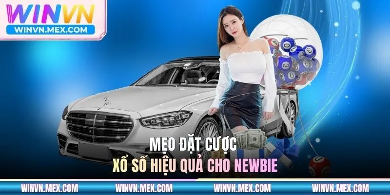 Mẹo đặt cược xổ số hiệu quả cho newbie
